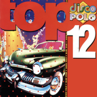 VA - Disco Polo Top 12 [01] (1995) MP3