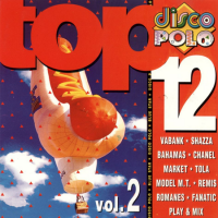 VA - Disco Polo Top 12 [02] (1995) MP3