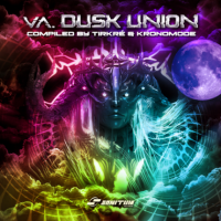 VA - Dusk Union (2022) MP3