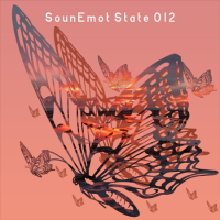 VA - SounEmot State [12] (2022) MP3