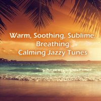 VA - Warm, Soothing, Sublime, Breathing Calming Jazzy Tunes (2023) MP3