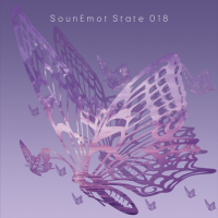 VA - SounEmot State [18] (2022) MP3