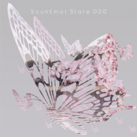 VA - SounEmot State [20] (2022) MP3