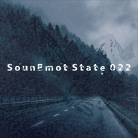 VA - SounEmot State [22] (2022) MP3