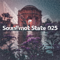 VA - SounEmot State [25] (2023) MP3