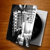 VA - Assorted compilation part 26-rock, blues rock,ballads (2023) MP3