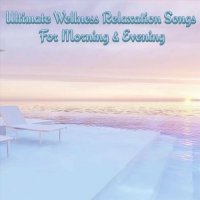 VA - Ultimate Wellness Relaxation Songs for Morning & Evening (2023) MP3