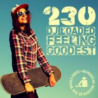 VA - 230 DJ Loaded - Feeling Goodest (2023) MP3
