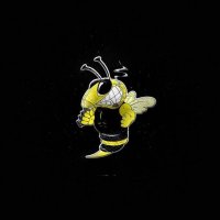 The Iron Bees - Хулиганы (2023) MP3