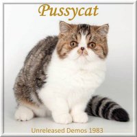 Pussycat - Unreleased Demos 1983 (2023) MP3