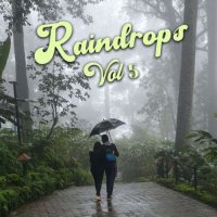 VA - Raindrops Vol 5 (2023) MP3