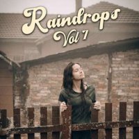 VA - Raindrops Vol 7 (2023) MP3