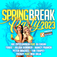 VA - Spring Break Party 2023 (2023) MP3