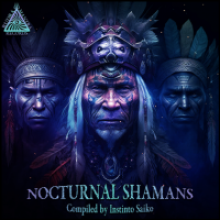 VA - Nocturnal Shamans (2023) MP3