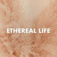 VA - Etheral Life (2023) MP3
