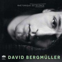 David Bergm&#252;ller - Rh&#233;torique du Silence (2023) MP3