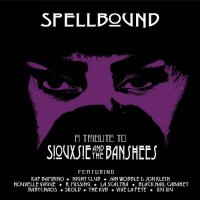 VA - Spellbound - A Tribute To Siouxsie & The Banshees (2023) MP3