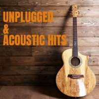 VA - Unplugged & Acoustic Hits (2023) MP3