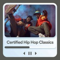 VA - Certified Hip Hop Classics (2023) MP3