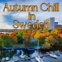 VA - Autumn Chill in Sweden (2023) MP3