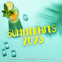 VA - Summerhits (2023) MP3