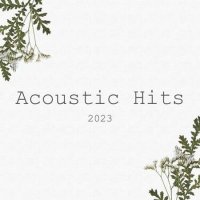 VA - Acoustic Hits (2023) MP3