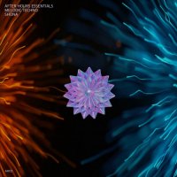 VA - After Hours Essentials Melodic Techno SHONA (2023) MP3