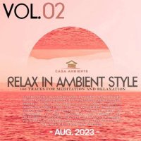 VA - Relax In Ambient Style Vol.02 (2023) MP3