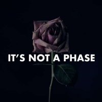 VA - It's Not a Phase (2023) MP3