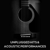 VA - Unplugged Hits & Acoustic Performances (2023) MP3