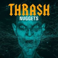VA - Thrash Nuggets (2023) MP3