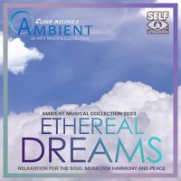 VA - Ambient Ethereal Dreams (2023) MP3