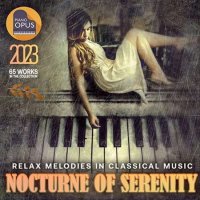VA - Nocturne Of Serenity (2023) MP3