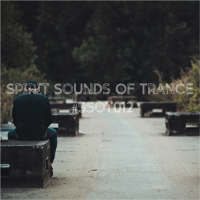 VA - Spirit Sounds of Trance [12] (2023) MP3