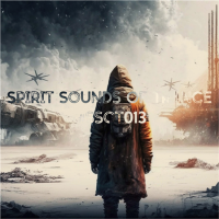 VA - Spirit Sounds of Trance [13] (2023) MP3