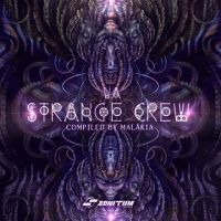 VA - Strange Crew (2018) MP3