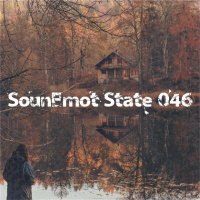 VA - SounEmot State [46] (2023) MP3