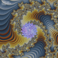 VA - Trance Raw Deep Hypnotic Shona (2023) MP3