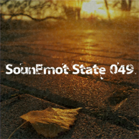 VA - SounEmot State [49] (2023) MP3