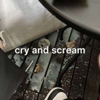 VA - cry and scream (2023) MP3