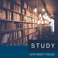 VA - Late Night Focus (2023) MP3