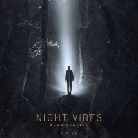 VA - Night Vibes - Atmospheric Chill (2023) MP3