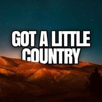 VA - Got a Little Country (2023) MP3