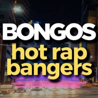 VA - Bongos Hot Rap Bangers (2023) MP3
