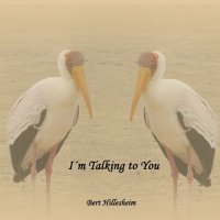 Bert Hillesheim - I'm Talking To You (2023) MP3