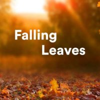 VA - Falling Leaves (2023) MP3