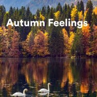 VA - Autumn Feelings (2023) MP3