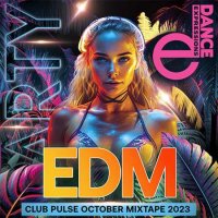 VA - EDM Clubbing Pulse Music (2023) MP3