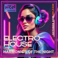 VA - Electro House: Harmonics Of The Night (2023) MP3