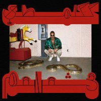Shabazz Palaces - Robed in Rareness (2023) MP3